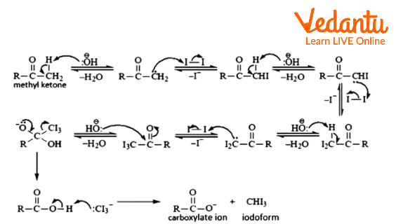 Mechanism of Iodoform Formation