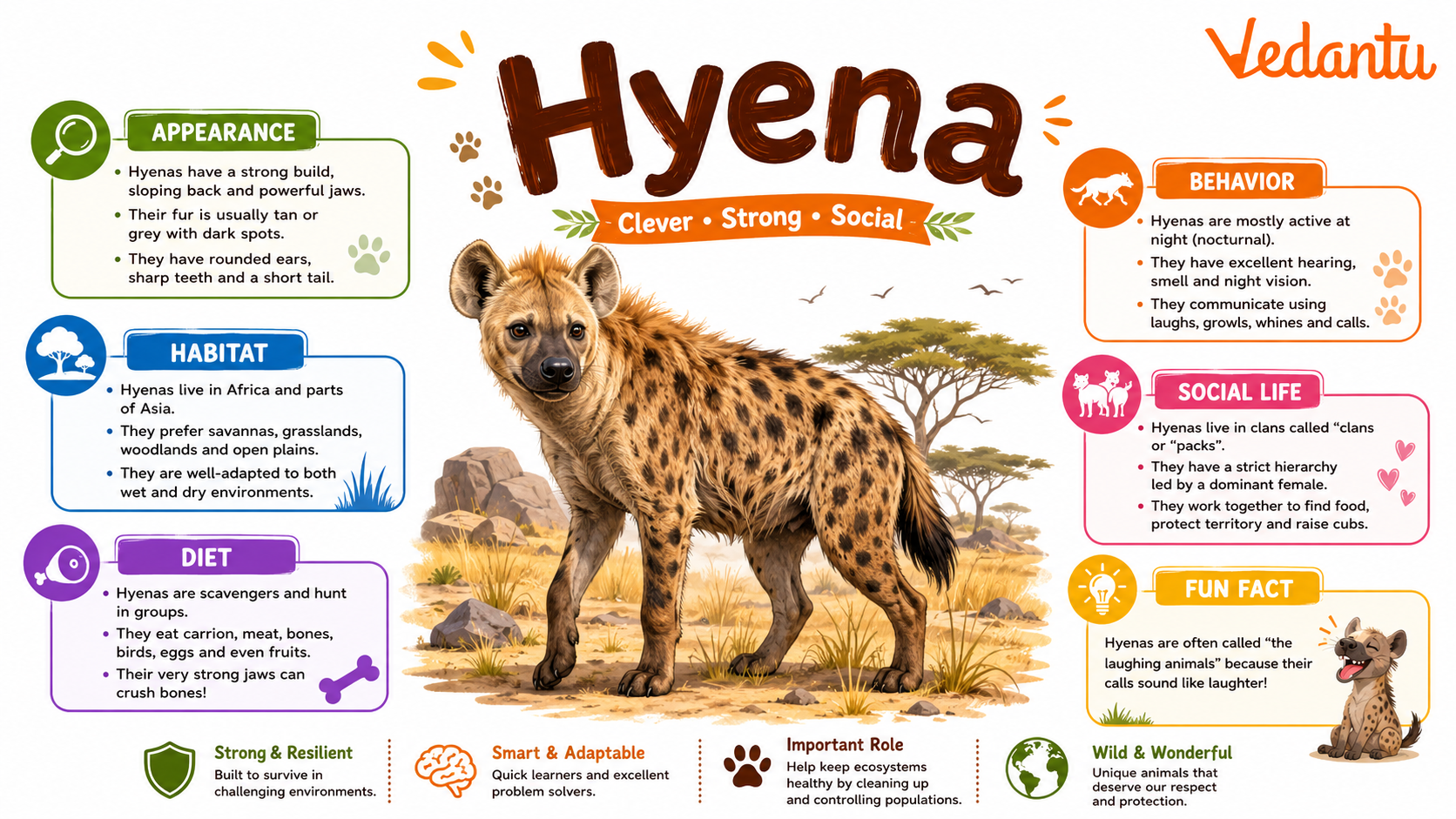 Hyena in grassland habitat