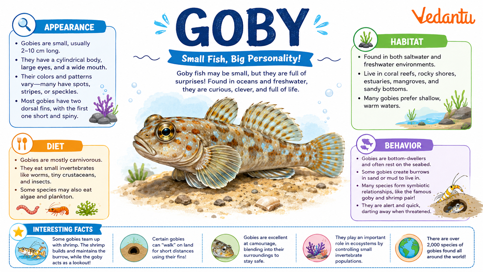 Goby fish swimming near the ocean floor