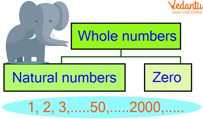 Showing the Whole Numbers