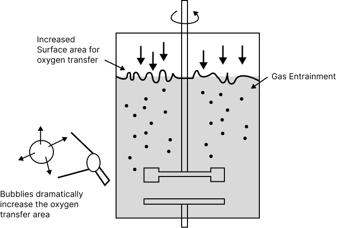 Sparged Stirred Tank Bioreactor