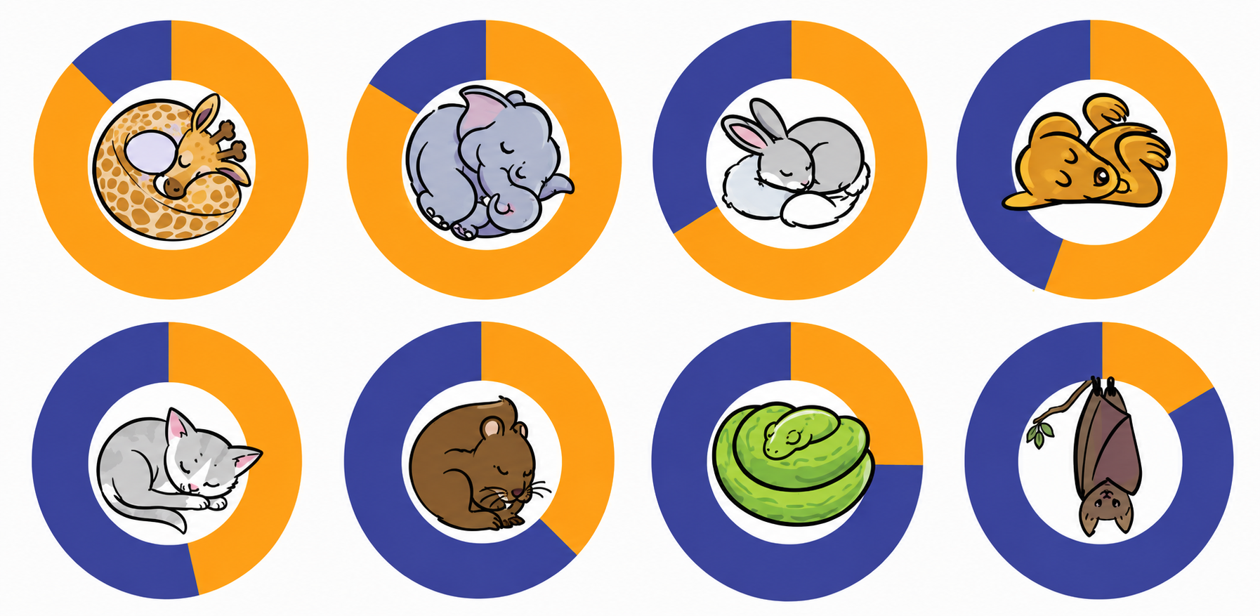 Fill in the average number of hours each living being sleeps in a day by looking