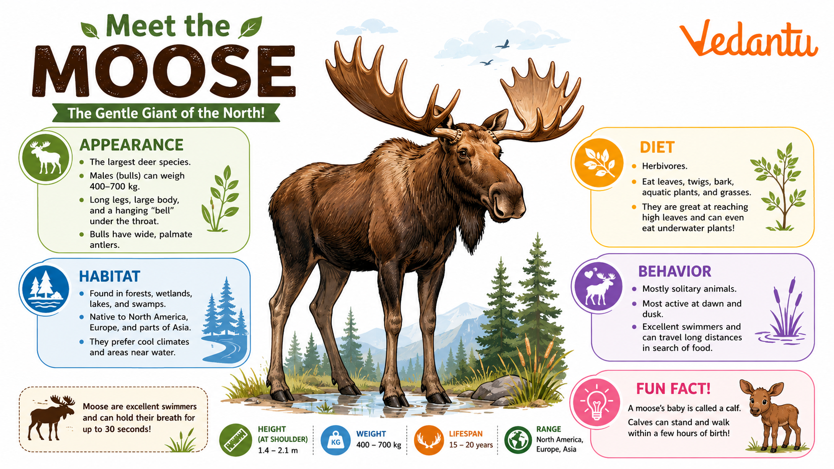 Moose