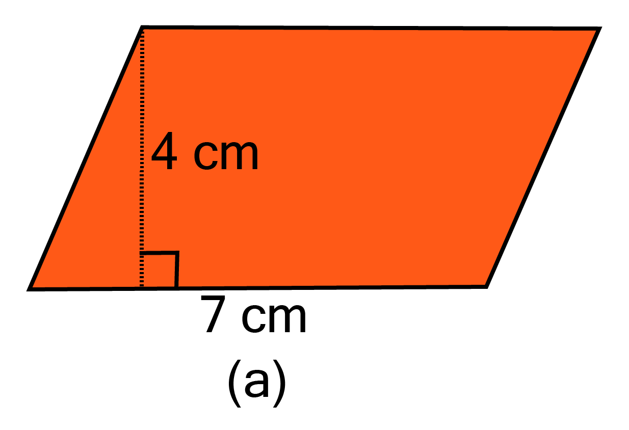 Given base $ = {\text{ 5 cm}}$and height${\text{ =  3 cm}}$