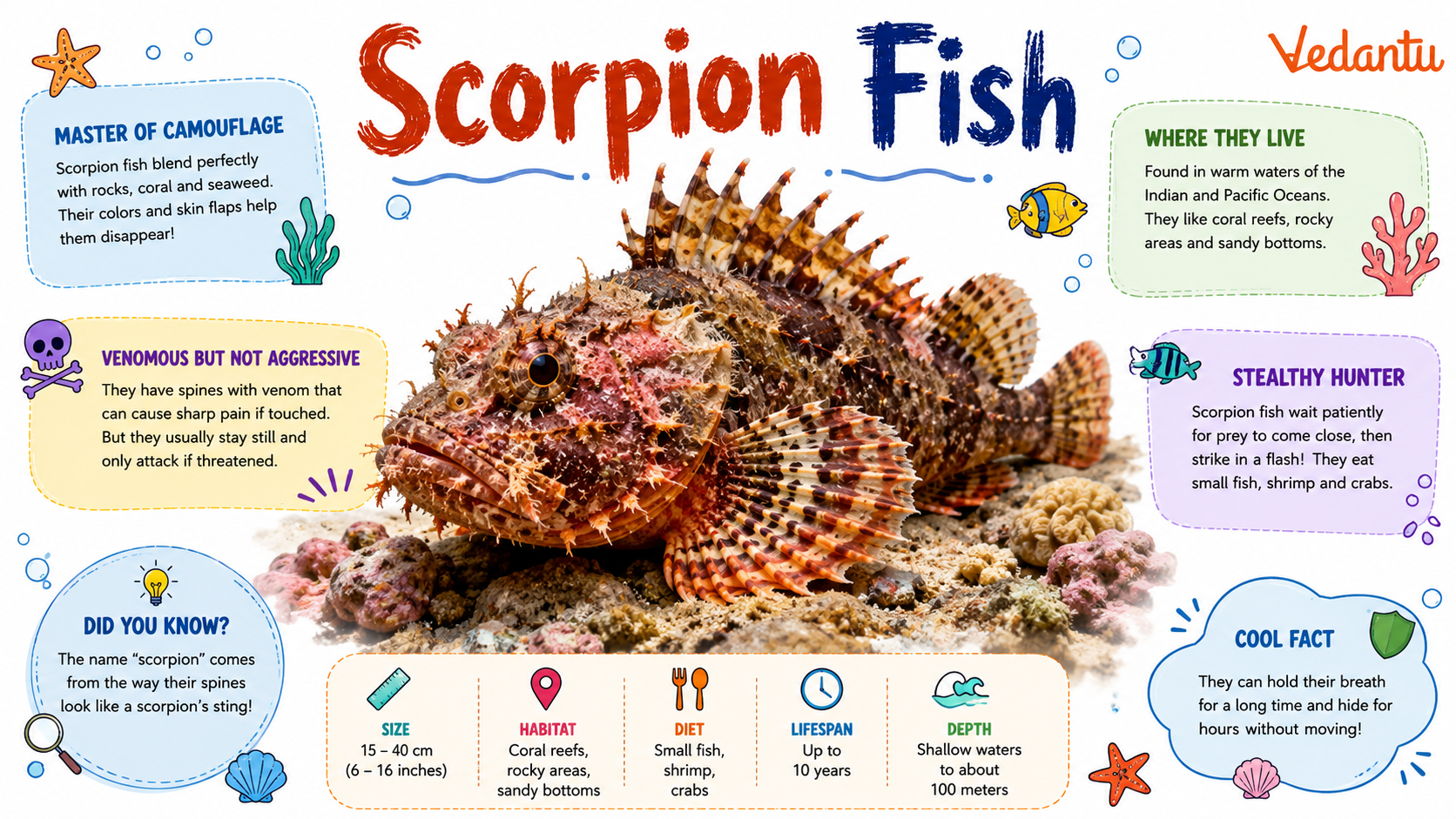 Scorpion Fish resting on ocean floor with camouflage body