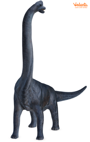 A Brachiosaurus