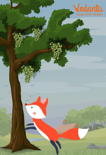 A hungry fox trying to reach the juicy purple grapes