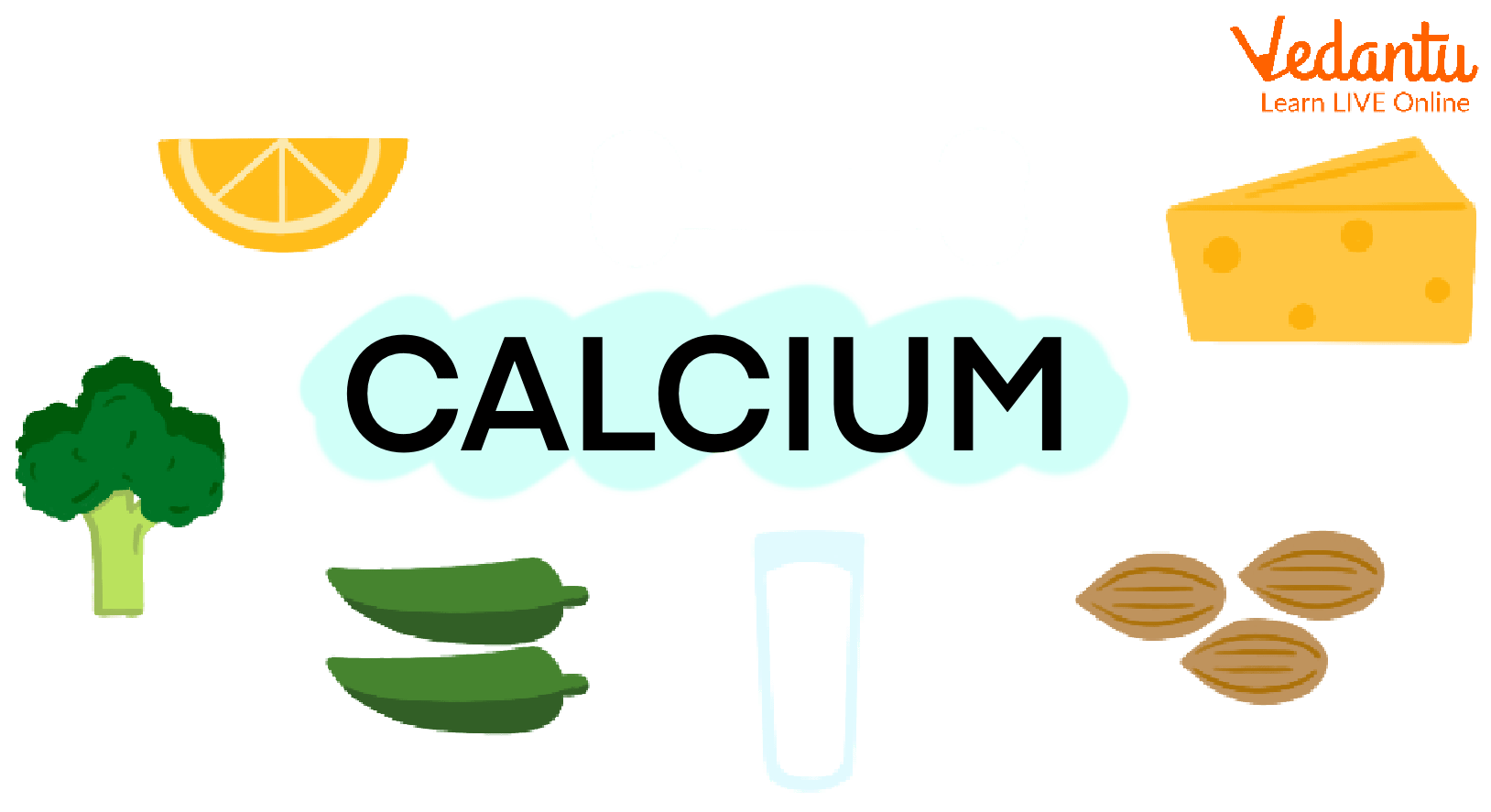 Calcium in the diet
