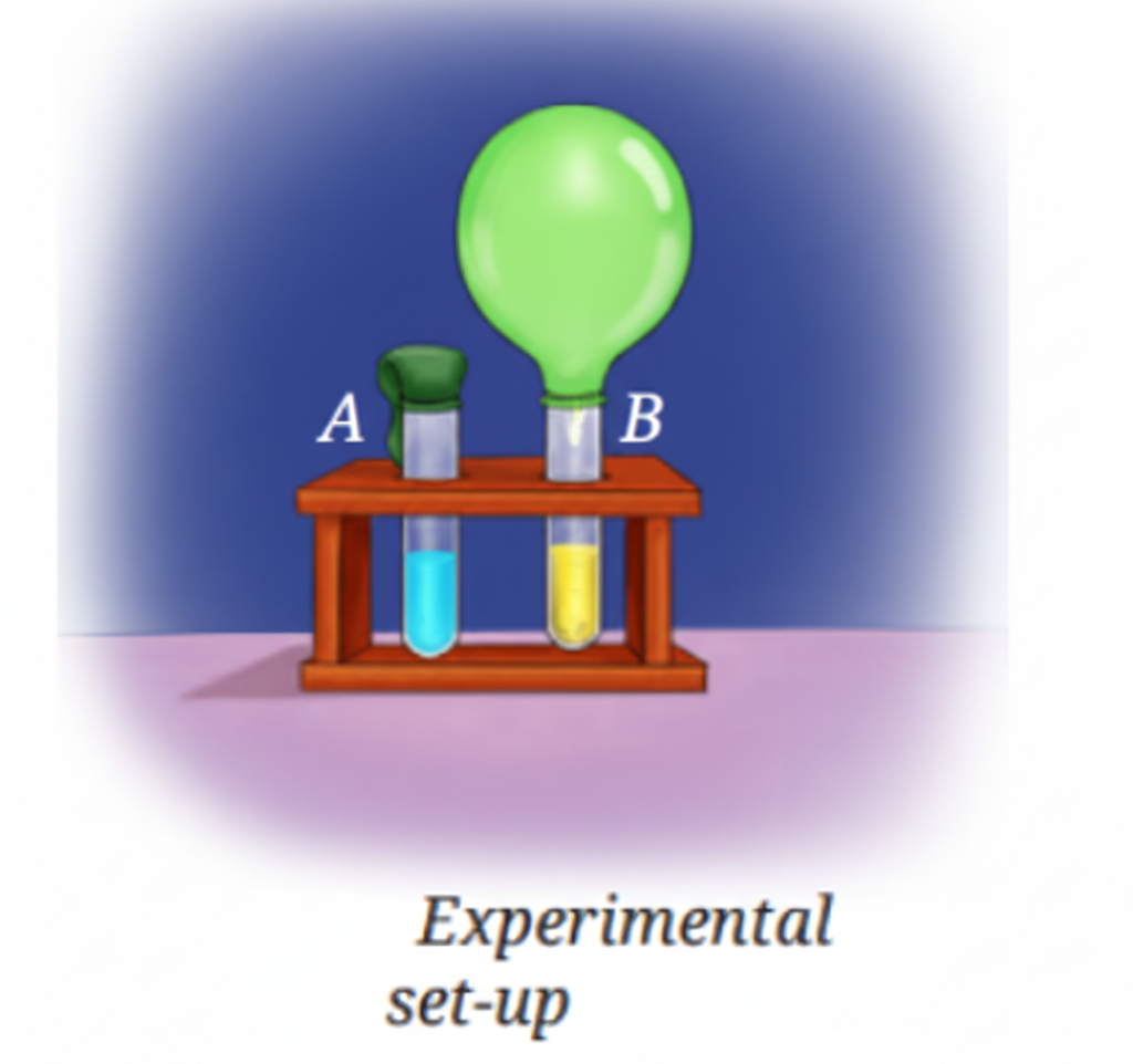 An Experimental setup
