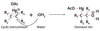 Step2 cleavage of the C-Hg bond.