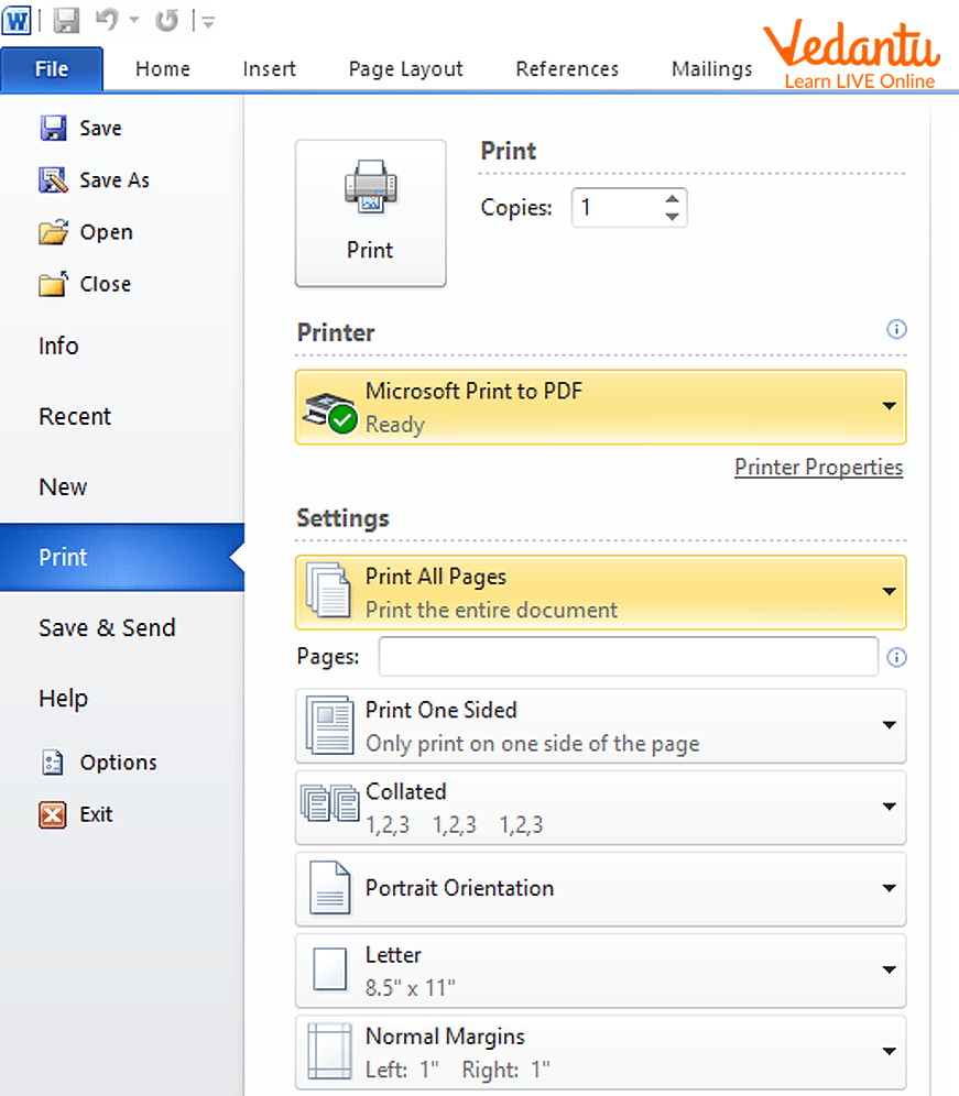 MS Word File Print Option