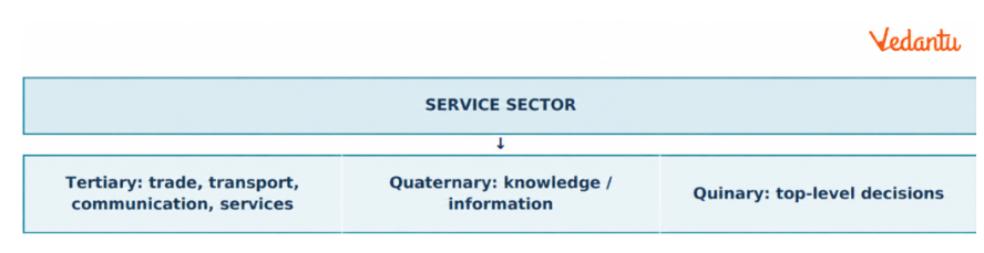 significance and growth of the service sector in modern economies