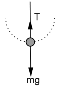 Free Body Diagram of the Stone at the Lowest Point