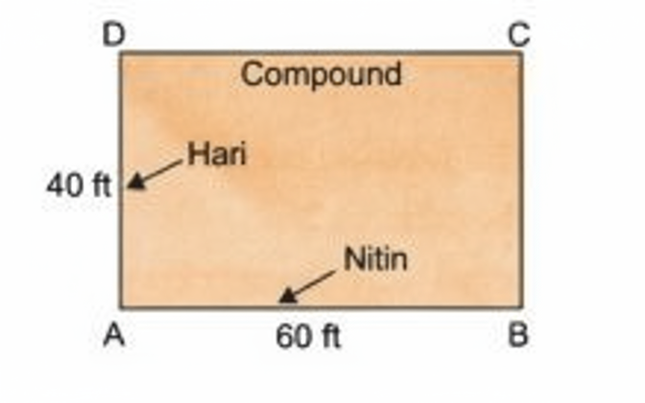 Nitin and Hari were constructing a compound wall around their house