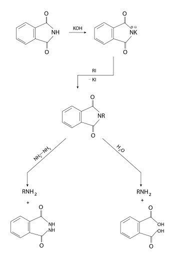 Reaction of Gabriel’s Phthalimide Synthesis