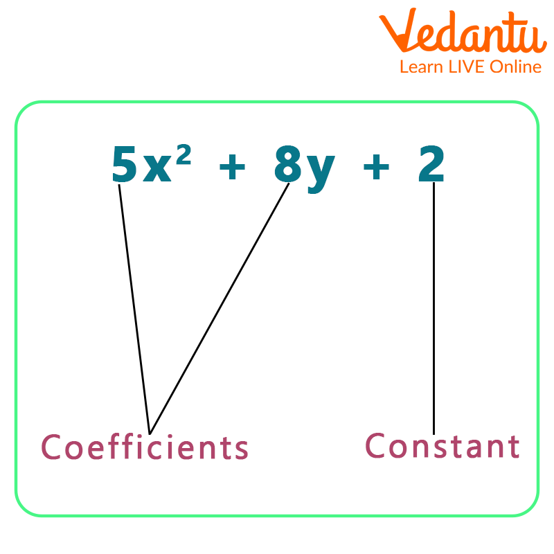 Coefficient Examples | Learn and Solve Questions