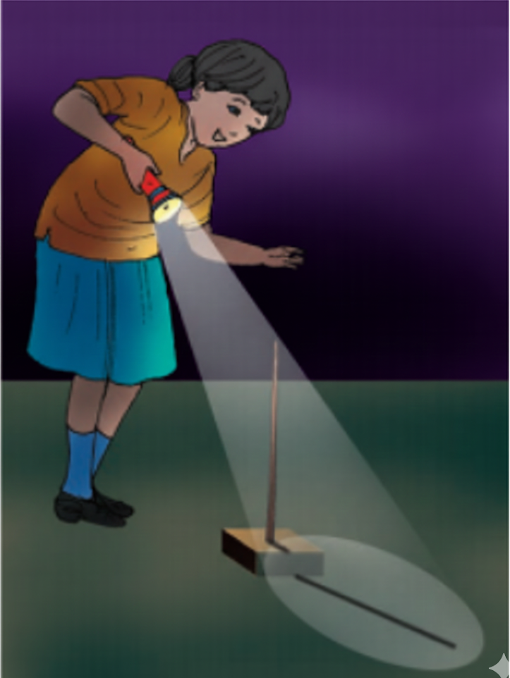 Take a torch and a stick. Close the doors and windows to make the room dar