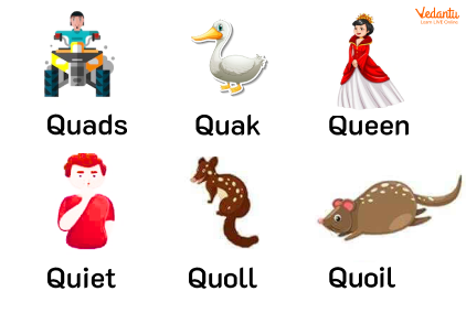Words that start with the letter Q for kids