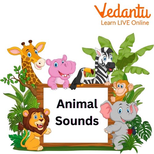 Different types of animal sounds
