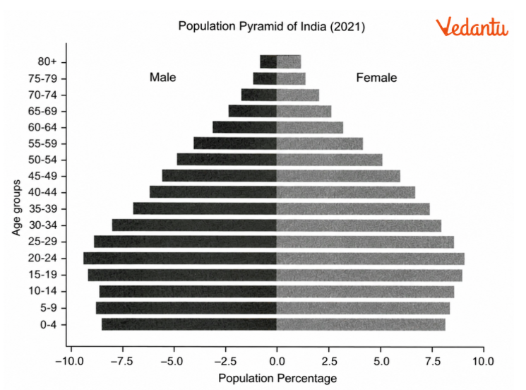 Population Pyramid of India 2021