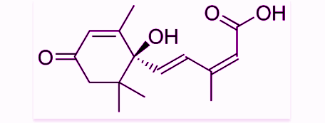 Abscisic Acid (ABA)