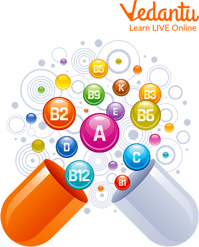 Various Vitamins and Minerals