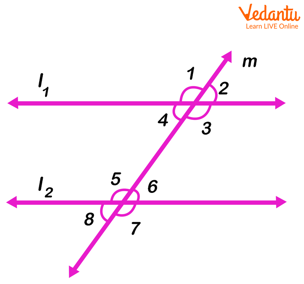 Parallel Lines