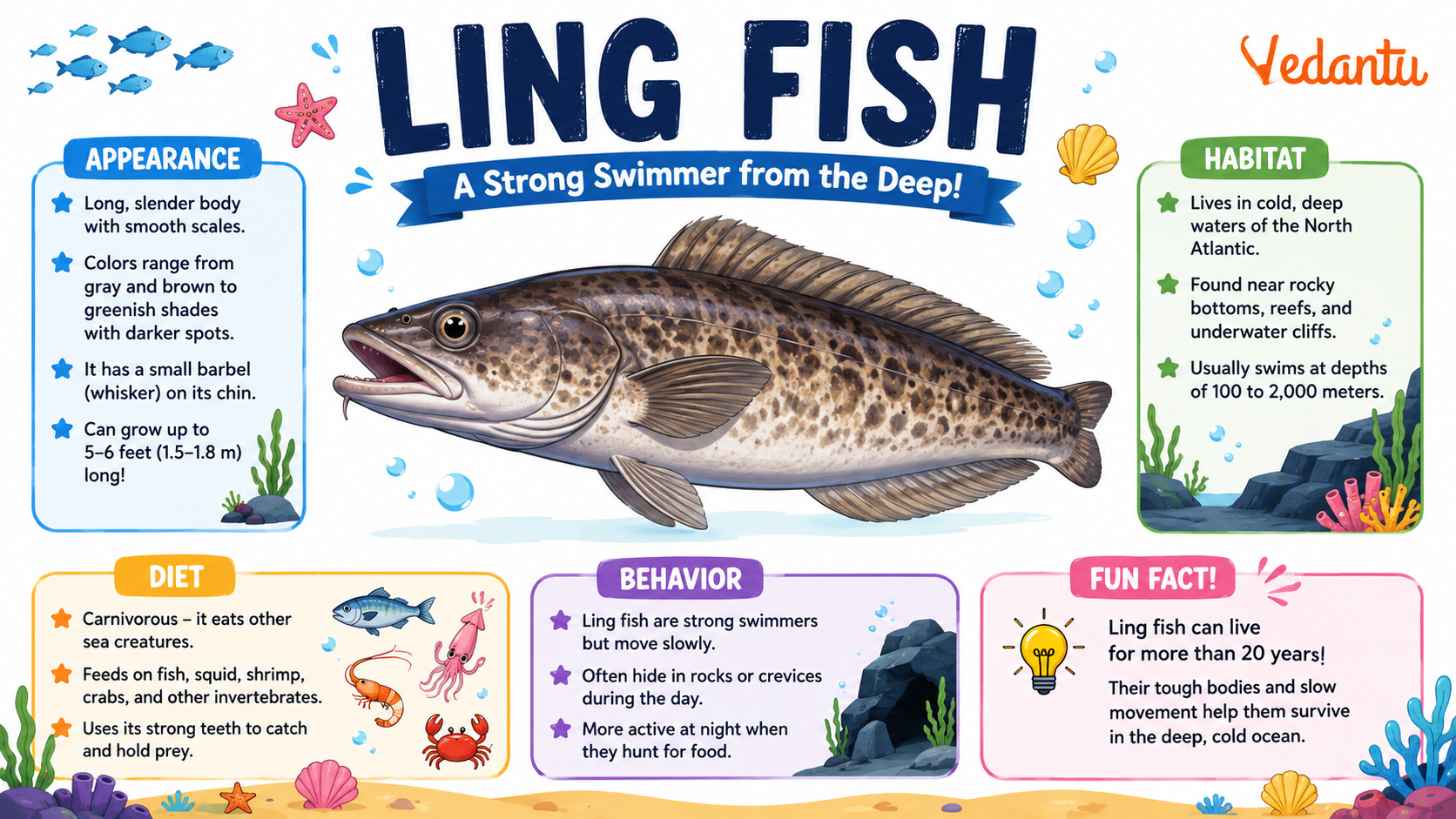 Ling Fish