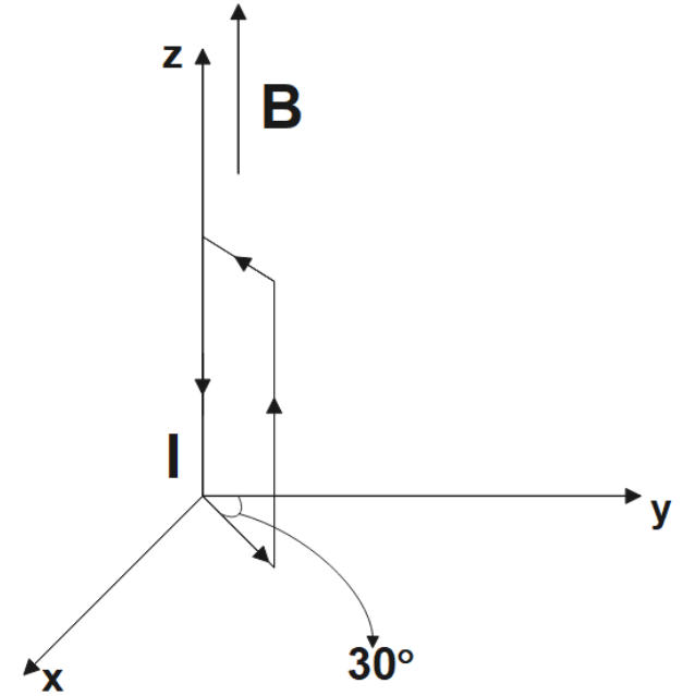 A rectangular current carrying loop placed in a xyz plane with magnetic field in z-direction.