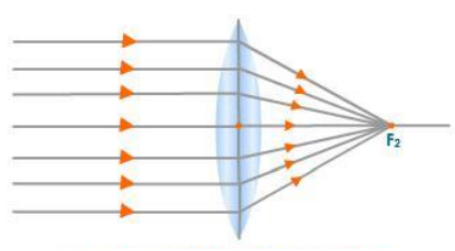 Principal Focus of a Convex Lens