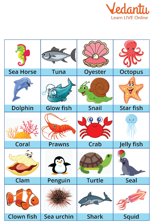 List of Aquatic Animals