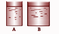 Two vessels, A and B, contain water up to the same level