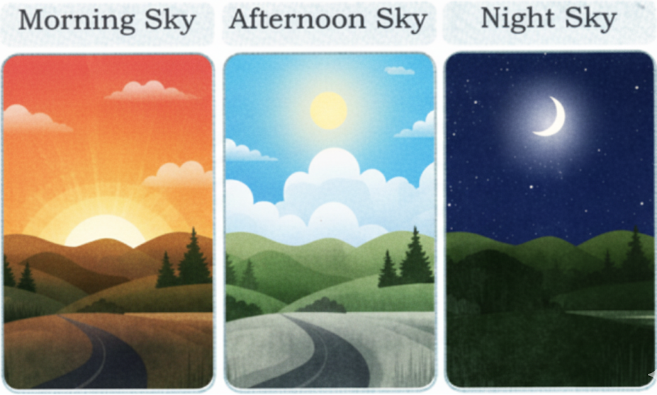 Draw a picture of the sky as it appears in the morning, afternoon and at night, in the spaces given below. answer