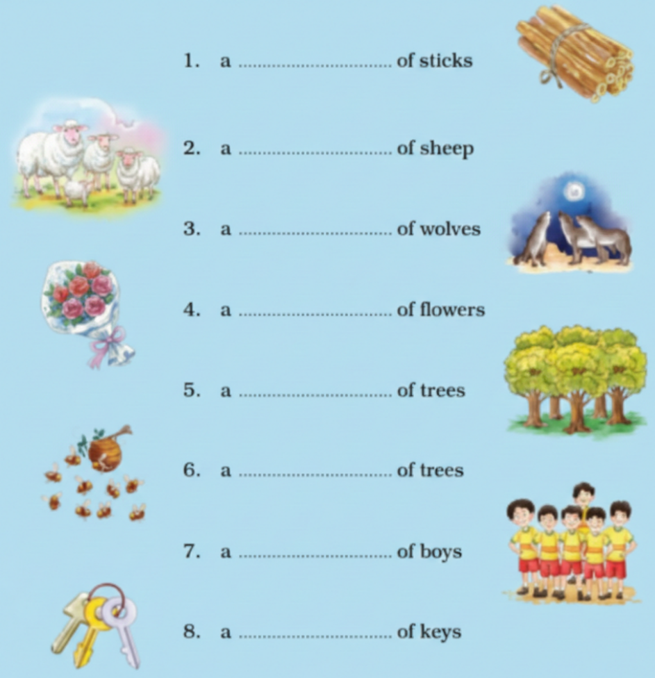 Look at the pictures and fill in the blanks, by using words from the box