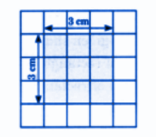 (d) Length of the square = 3 cm