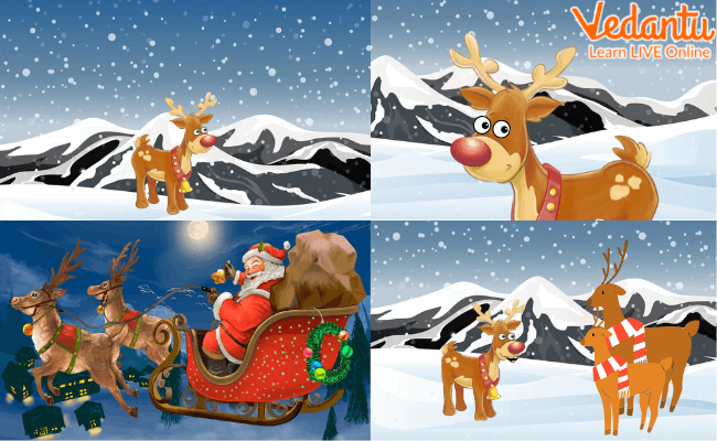 A Collage Showing Four Images of Rudolph