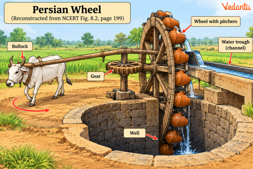 Persian Wheel