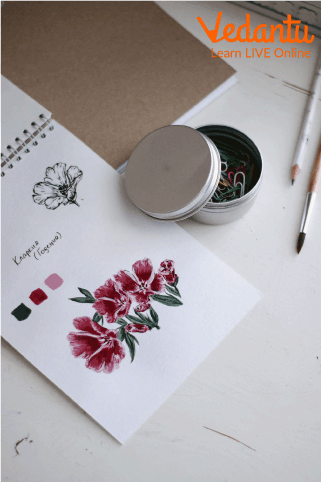 Drawing Flowers During Spring