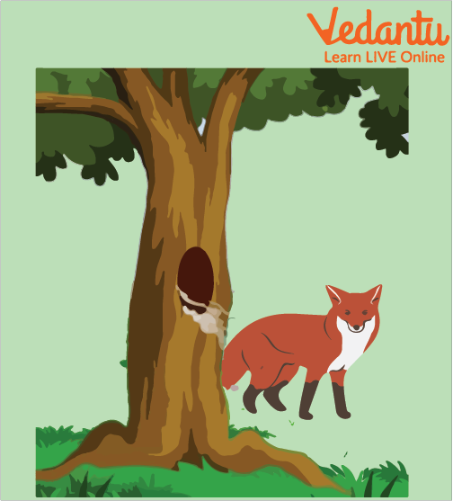 The Greedy Fox Found Food in a Tree