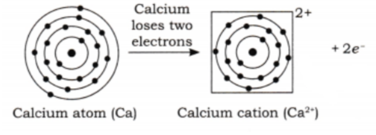 Formation of the cation of calcium atom The electronic configuration of calcium.png