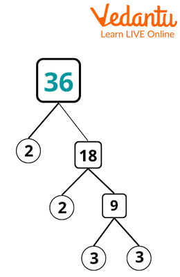 Prime Factorization of 36