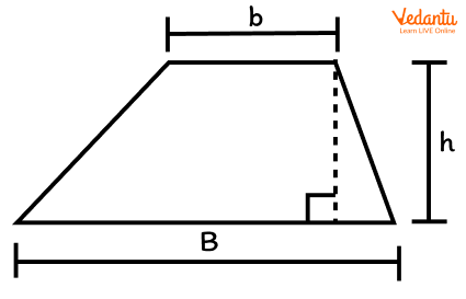 Base of a Trapezoid