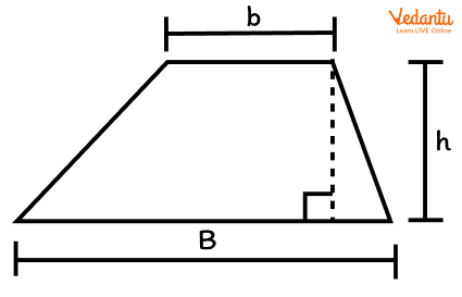 The Base of a Shape: Learn Definition, Facts & Examples