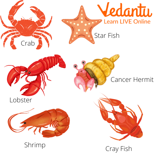 Crustaceans