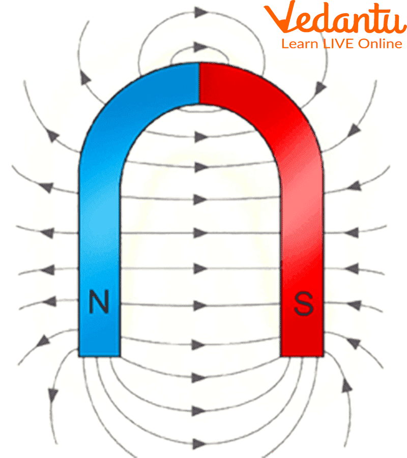 Magnets: Learn Definition, Facts and Examples