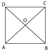 Diagonals of Square