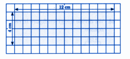 (c) Length = 12 cm, Breadth = 4 cm