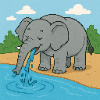 The big elephant drinks water