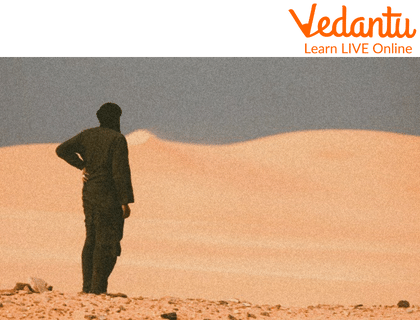 Man standing in the middle of a desert