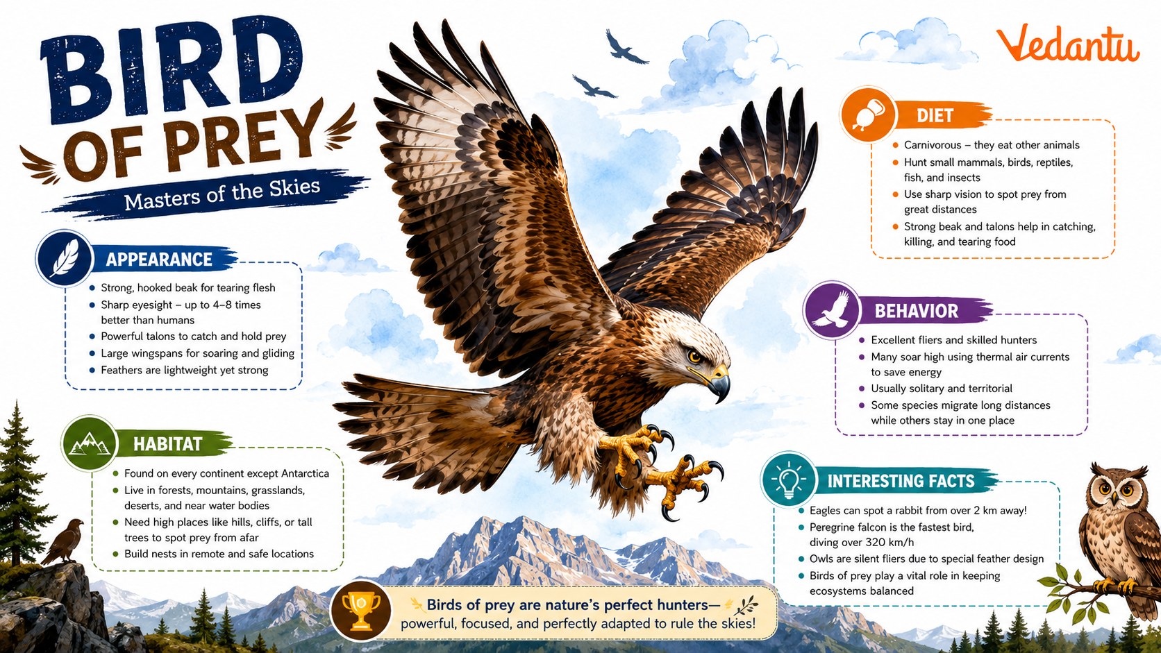 Bird Of Prey
